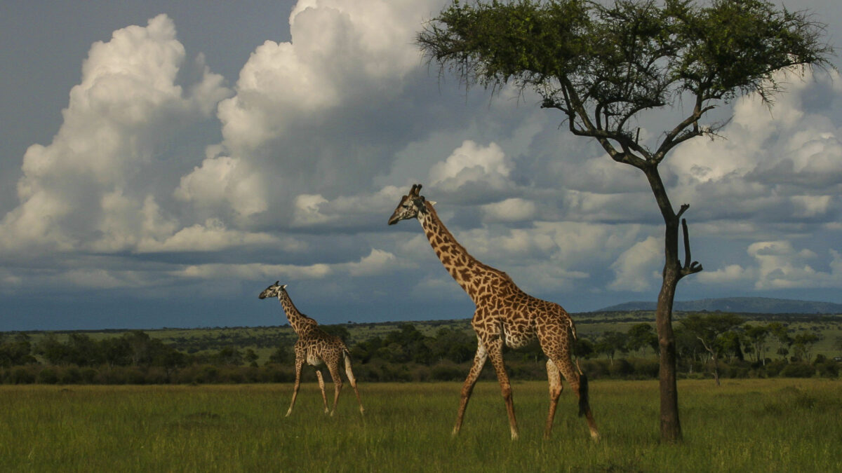 Fotografía ilustrativa · Sucesos